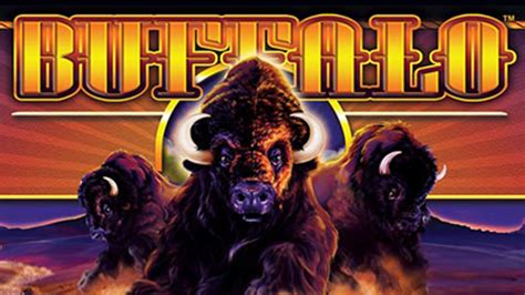 the casino game buffalo